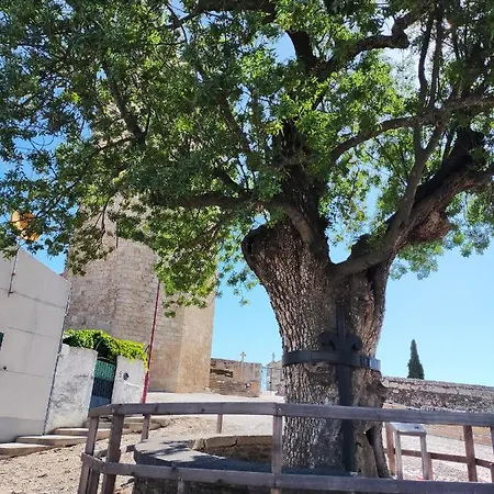 Casa Do Conselheiro בית חווה Freixo de Espada à Cinta