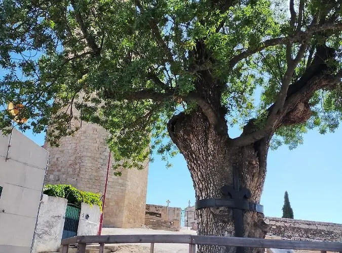 Casa Do Conselheiro مزرعة للإقامة Freixo de Espada à Cinta